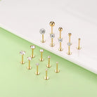 Cherry Diva Stud Multi Pack Of 16 Gold Push Fit Cartilage / Labret Studs
